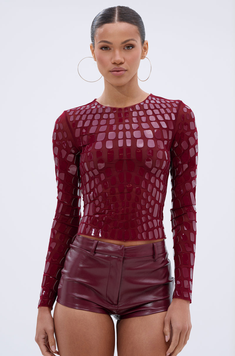 CAN SEE RIGHT THROUGH YOU MESH LONG SLEEVE TOP