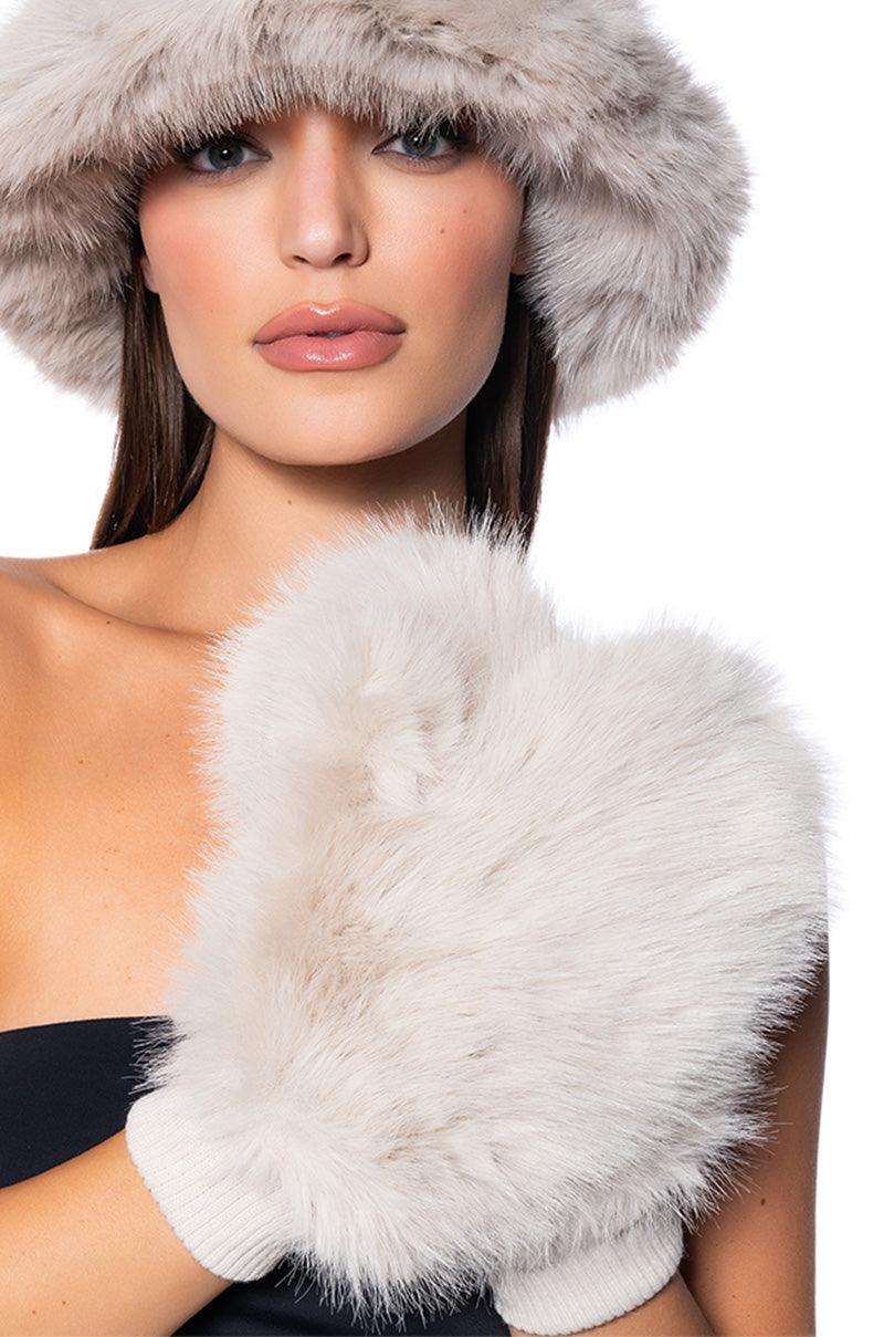 ALL ABOUT THE MONEY FUR MITTENS