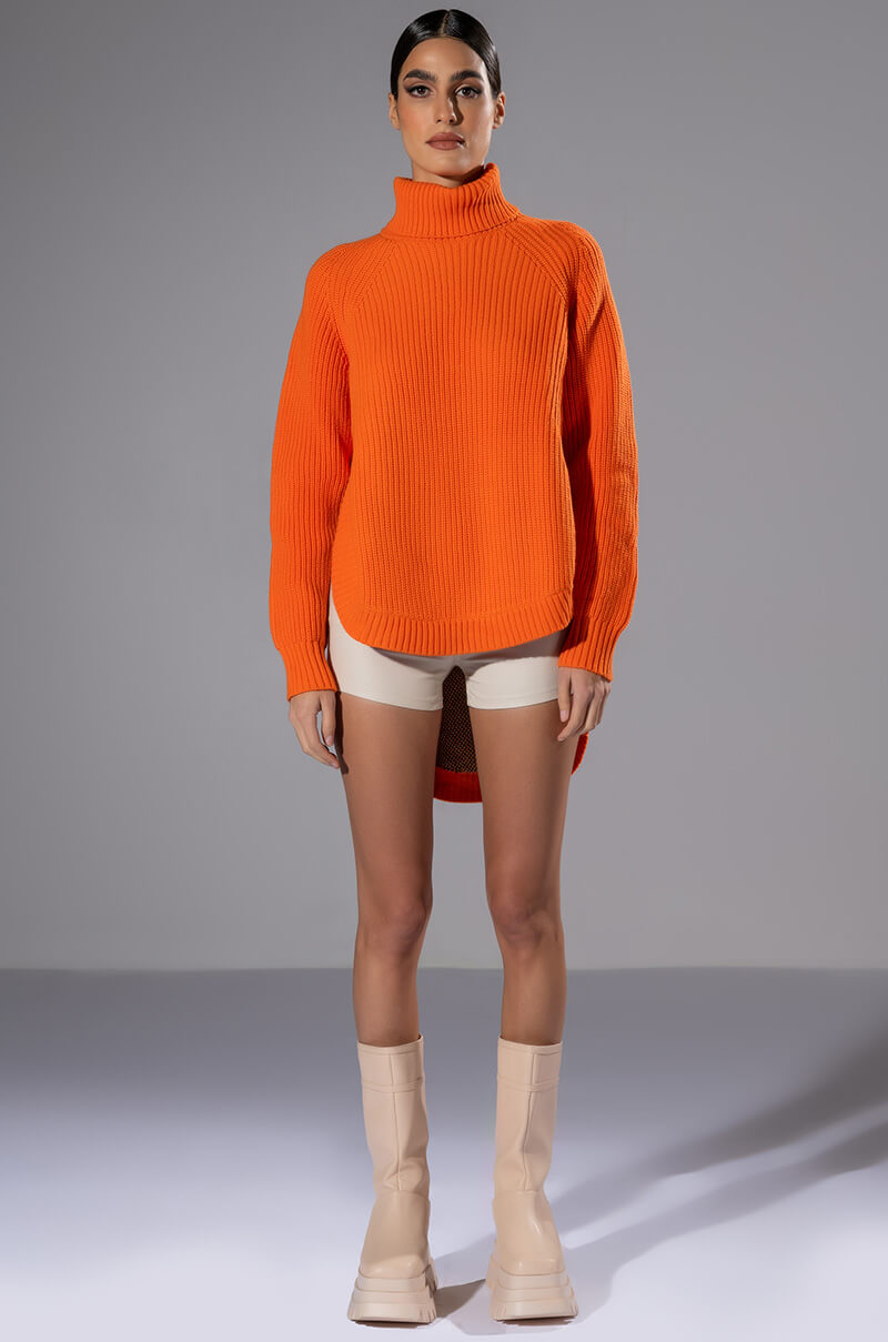 DAISY DREAMING HIGH LOW SWEATER